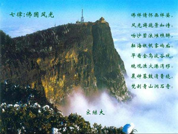 大鹰森林逃生