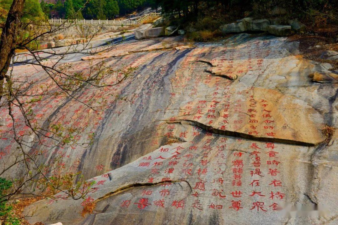 政府工作报告里的“小确幸”