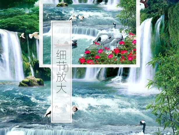动物帮帮忙保卫家园