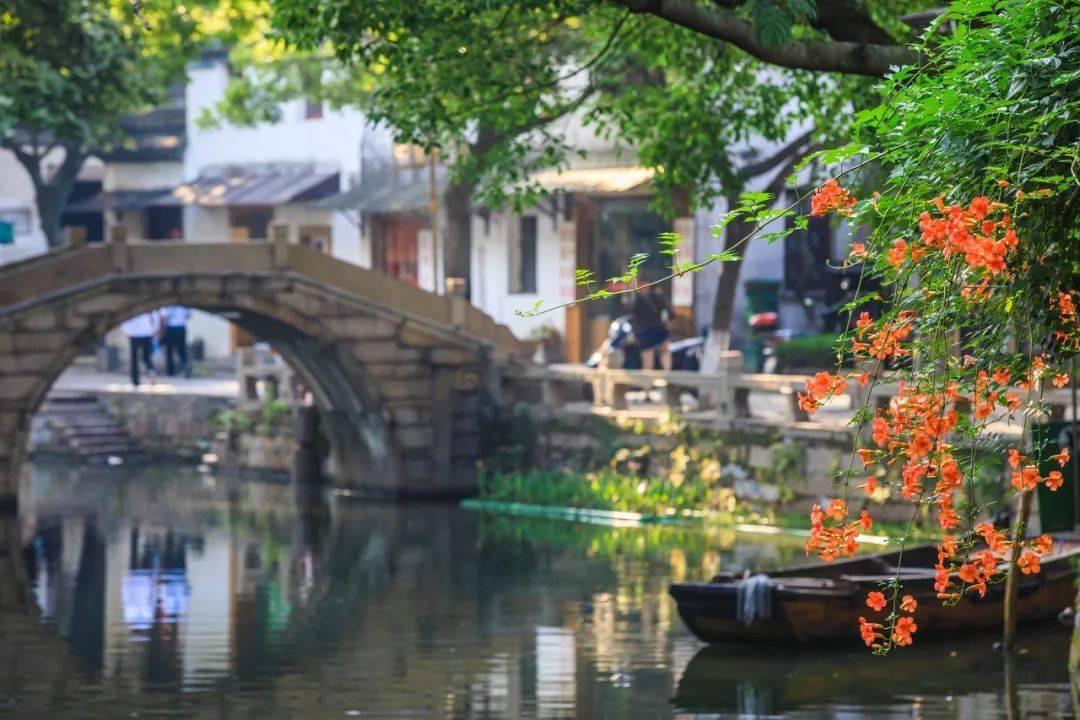春雨直播app
