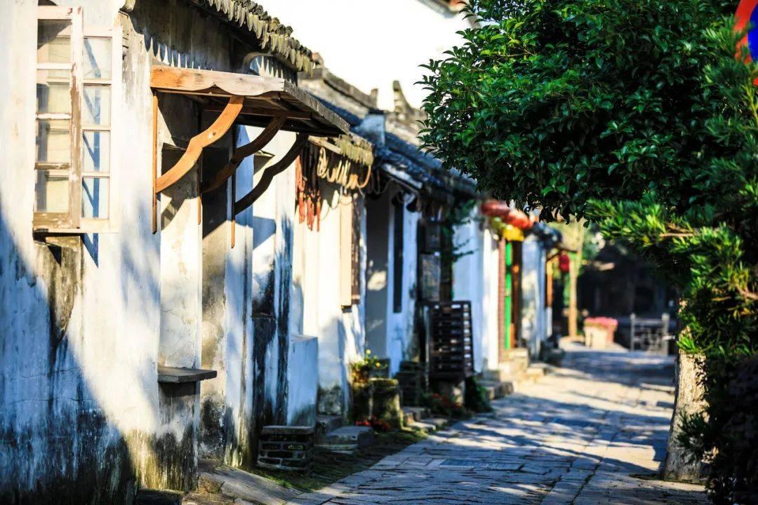 泰戈新材料：开足马力忙生产