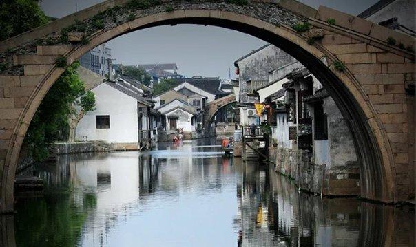 江豚受伤仍奋力戏水，市民戏称其“豚坚强”