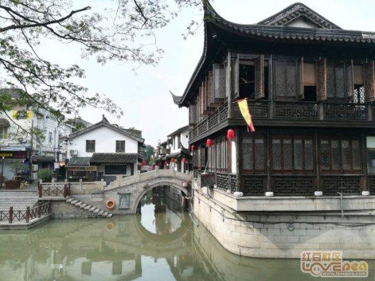 单县莱河镇袁堂村:支部领办合作社 分红增收暖人心