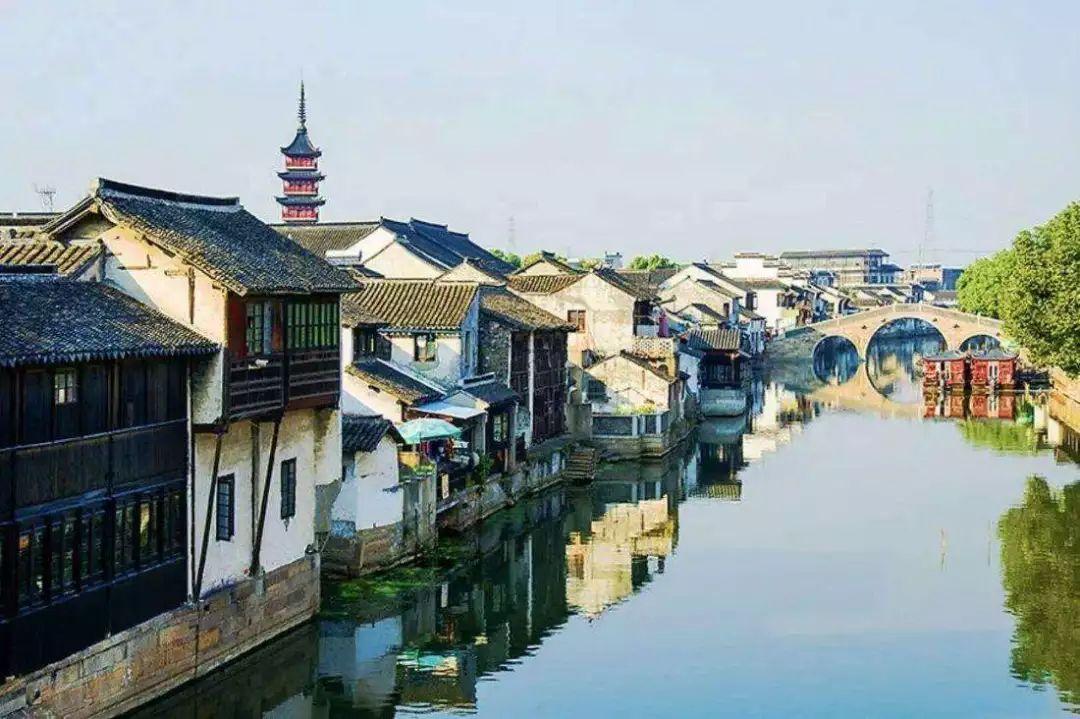 王楚钦:成绩和球感双提升,冠军意味着我还能更好
