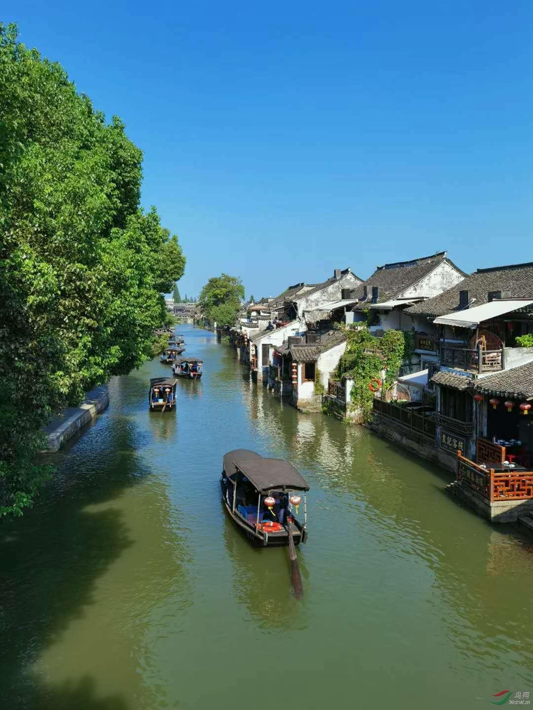 月光影视