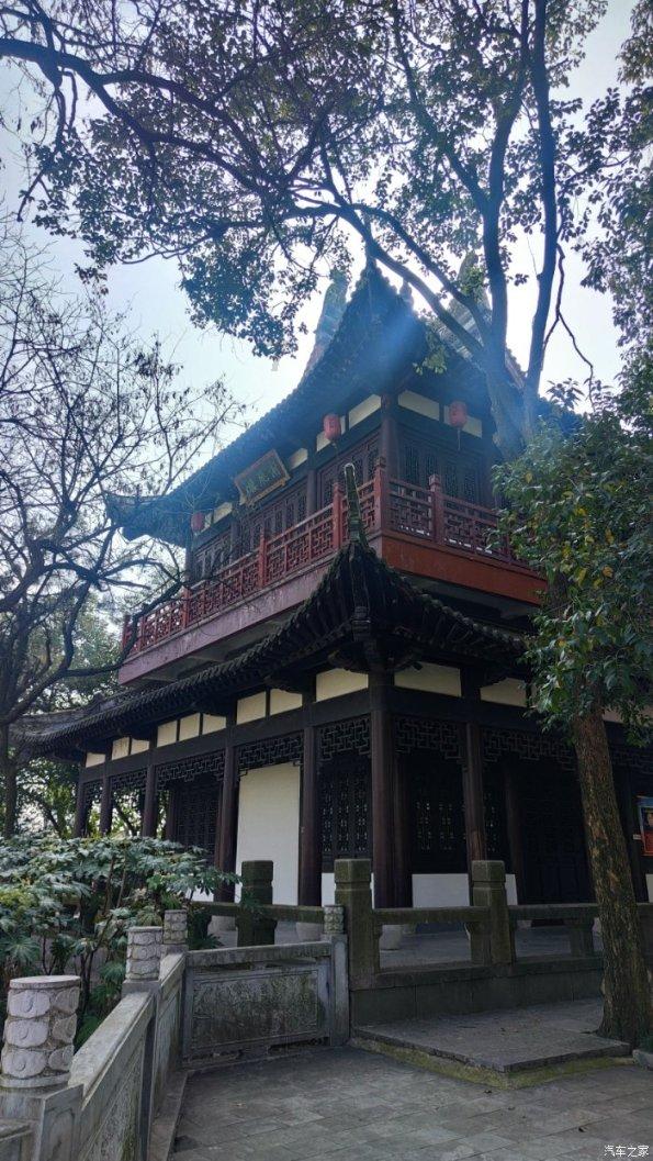 春雨直播app