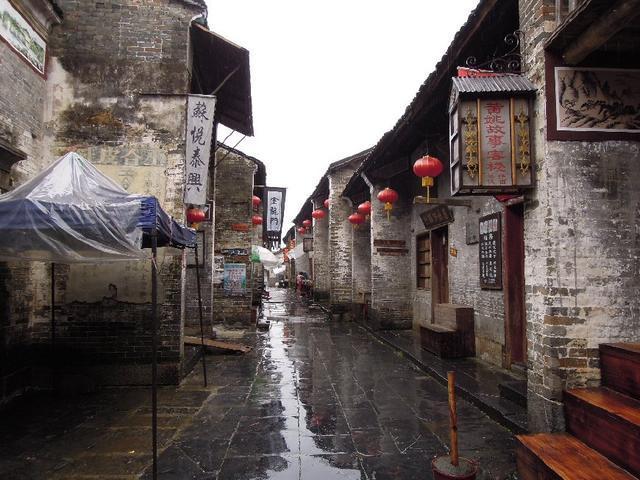 拯救机灵鸟