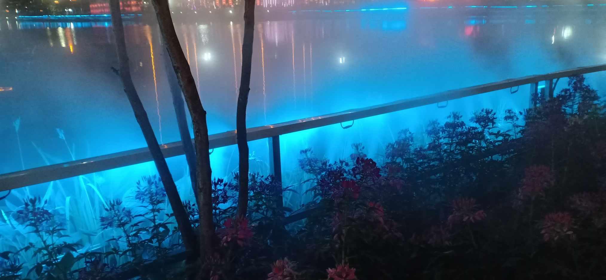 埃利的时装周