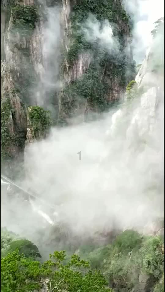异地有“医”靠 菏泽全力打通异地就医服务“最后一公里”