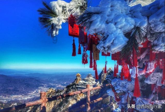 印度一女婴体内有8个寄生胎，这种情况究竟有多罕见？游戏画面