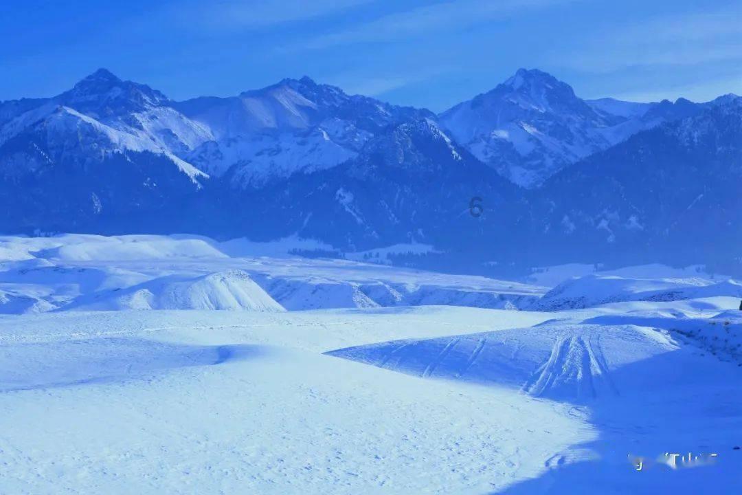 大学生就业难关键在父母？父母在孩子求职中到底有多重要吗？游戏画面